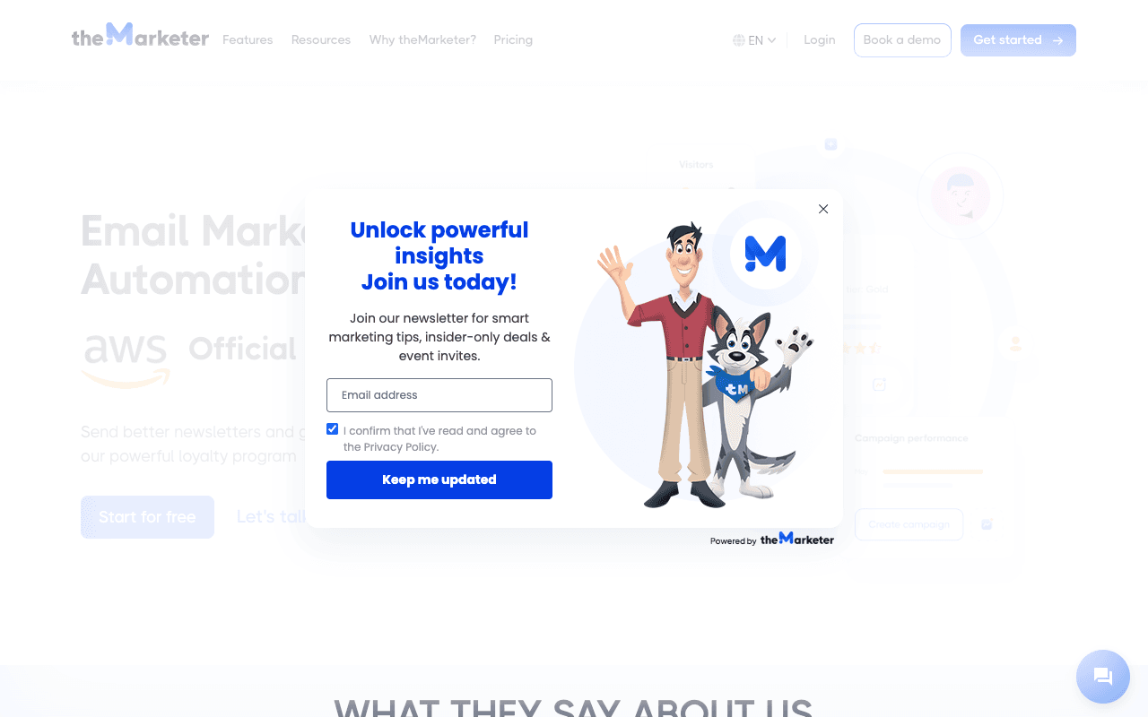 theMarketer website screenshot